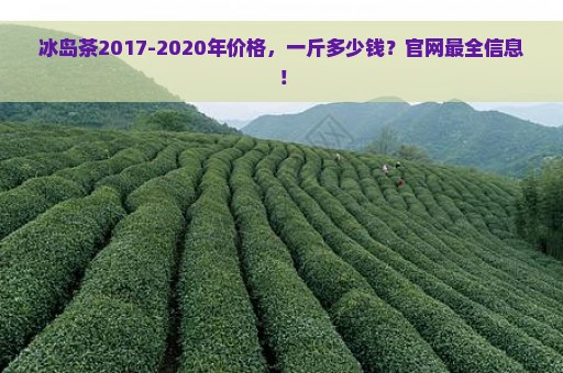 冰岛茶2017-2020年价格，一斤多少钱？官网最全信息！