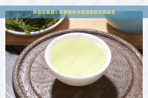 冰岛五寨茶：地界特色与普洱茶的完美融合