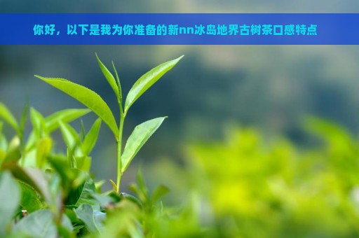 你好，以下是我为你准备的新nn冰岛地界古树茶口感特点   