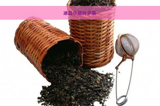 冰岛小圆叶子茶