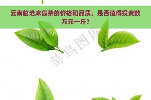 云南临沧冰岛茶的价格和品质，是否值得投资数万元一斤？