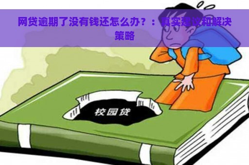 网贷逾期了没有钱还怎么办？：真实建议和解决策略