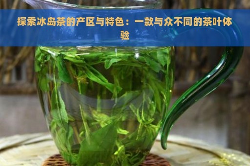 探索冰岛茶的产区与特色：一款与众不同的茶叶体验