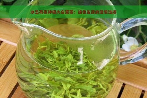 冰岛有机种植大白菜茶：绿色生活的理想选择