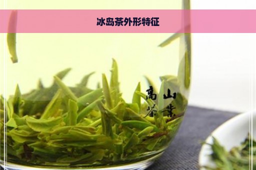 冰岛茶外形特征