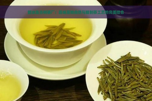 新冰岛古树茶厂：品味原始自然与精制茶工艺的完美结合