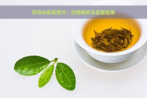 顶级冰岛茶照片：价格解析与品鉴指南