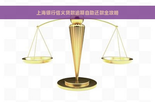 上海银行信义贷款逾期自助还款全攻略