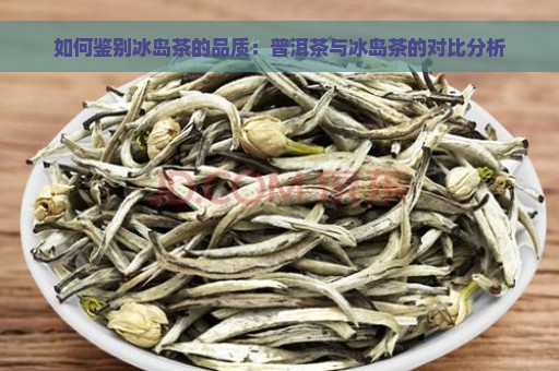 如何鉴别冰岛茶的品质：普洱茶与冰岛茶的对比分析