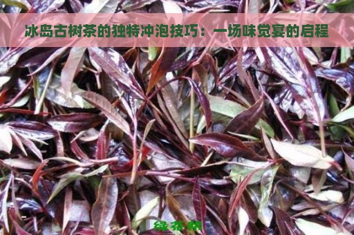 冰岛古树茶的独特冲泡技巧：一场味觉宴的启程