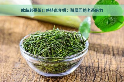 冰岛老寨茶口感特点介绍：醇厚回的老茶魅力