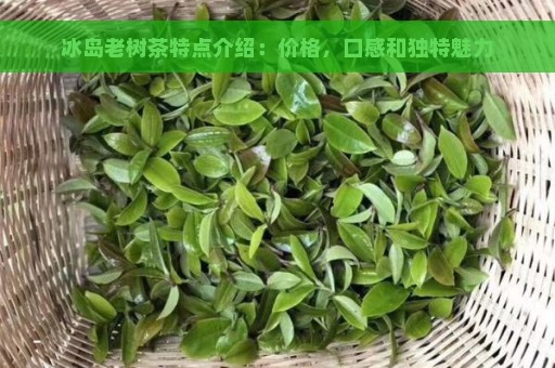 冰岛老树茶特点介绍：价格，口感和独特魅力