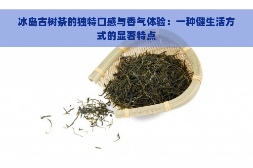 冰岛古树茶的独特口感与香气体验：一种健生活方式的显著特点