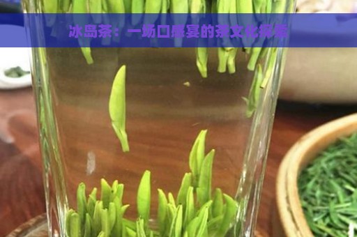 冰岛茶：一场口感宴的茶文化探索