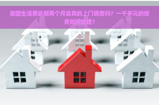 美团生活费逾期两个月会真的上门调查吗？一千多元的债务如何处理？