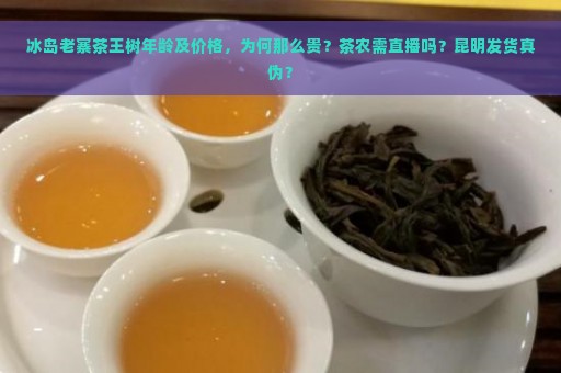 冰岛老寨茶王树年龄及价格，为何那么贵？茶农需直播吗？昆明发货真伪？