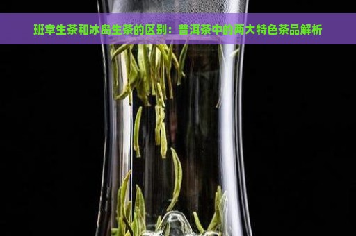 班章生茶和冰岛生茶的区别：普洱茶中的两大特色茶品解析