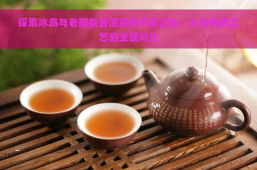 探索冰岛与老班章普洱茶的不同之处：从古树到工艺的全面对比