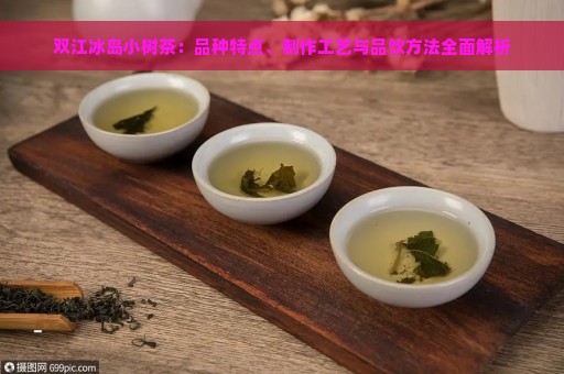 双江冰岛小树茶：品种特点、制作工艺与品饮方法全面解析