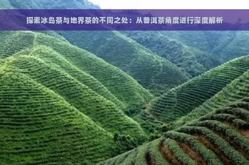 探索冰岛茶与地界茶的不同之处：从普洱茶角度进行深度解析