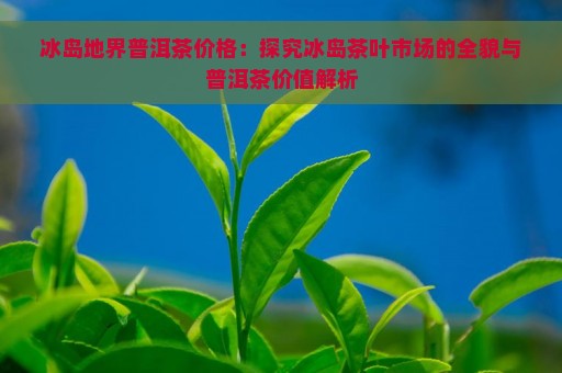 冰岛地界普洱茶价格：探究冰岛茶叶市场的全貌与普洱茶价值解析