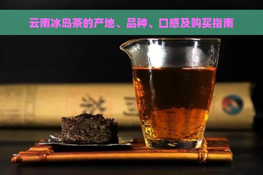 云南冰岛茶的产地、品种、口感及购买指南