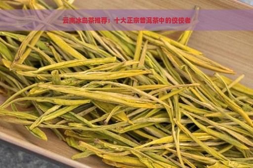 云南冰岛茶推荐：十大正宗普洱茶中的佼佼者