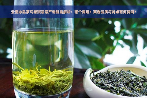 云南冰岛茶与老班章茶产地距离解析：哪个更远？两者品质与特点有何异同？