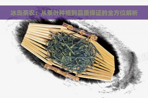 冰岛茶农：从茶叶种植到品质保证的全方位解析