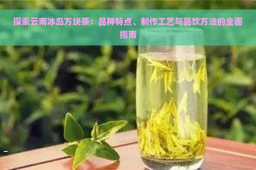 探索云南冰岛方块茶：品种特点、制作工艺与品饮方法的全面指南