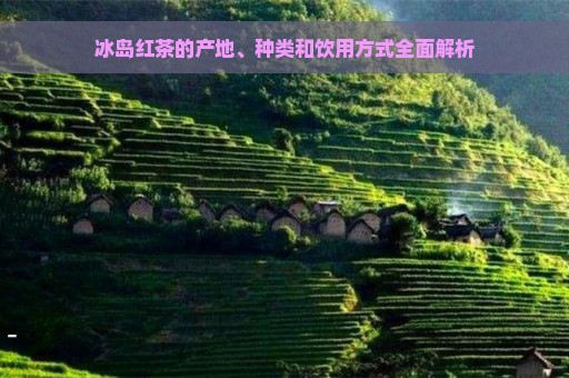 冰岛红茶的产地、种类和饮用方式全面解析