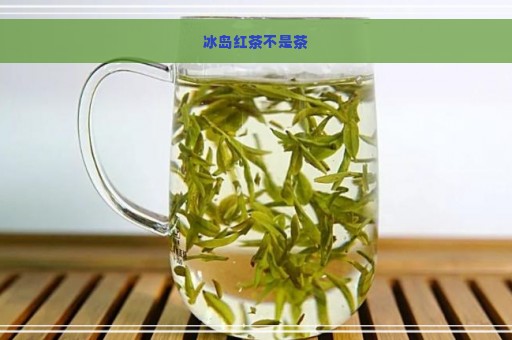 冰岛红茶不是茶