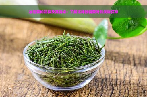 冰岛茶的品种及其特点：了解这种独特茶叶的关键信息