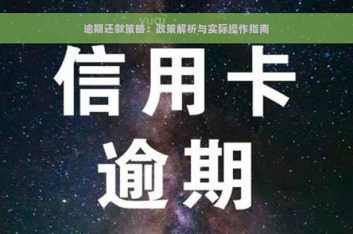 逾期还款策略：政策解析与实际操作指南