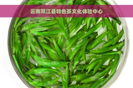 云南双江县特色茶文化体验中心