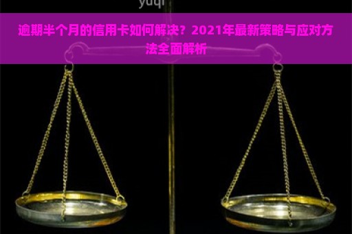 逾期半个月的信用卡如何解决？2021年最新策略与应对方法全面解析