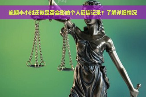 逾期半小时还款是否会影响个人征信记录？了解详细情况