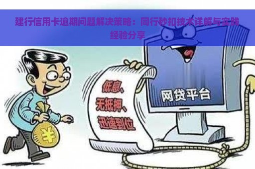 建行信用卡逾期问题解决策略：同行秒扣技术详解与实践经验分享