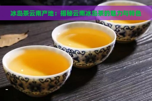 冰岛茶云南产地：揭秘云南冰岛茶的魅力与特色