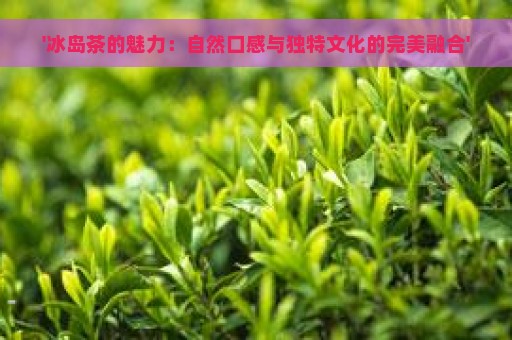 '冰岛茶的魅力：自然口感与独特文化的完美融合'