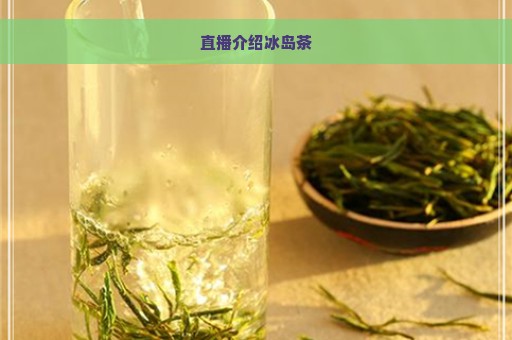 直播介绍冰岛茶