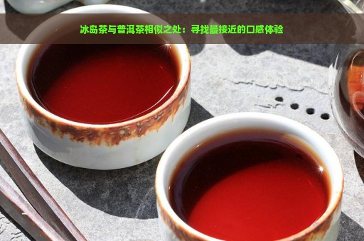 冰岛茶与普洱茶相似之处：寻找最接近的口感体验