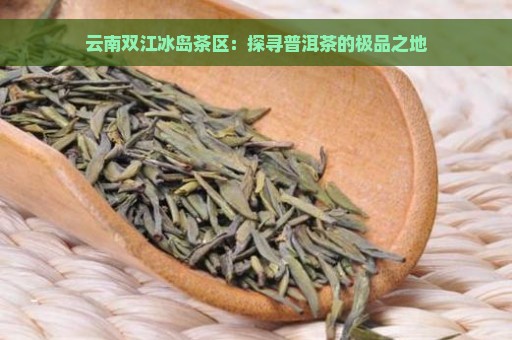 云南双江冰岛茶区：探寻普洱茶的极品之地