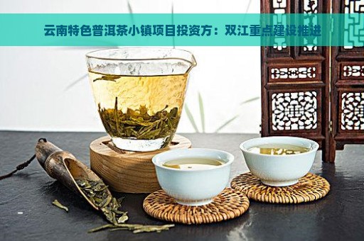 云南特色普洱茶小镇项目投资方：双江重点建设推进