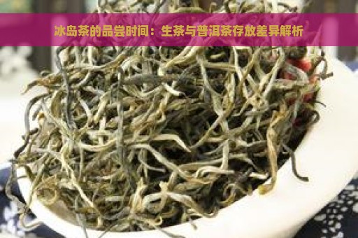 冰岛茶的品尝时间：生茶与普洱茶存放差异解析