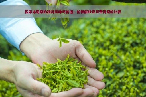 探索冰岛茶的独特风味与价值：价格解析及与普洱茶的比较