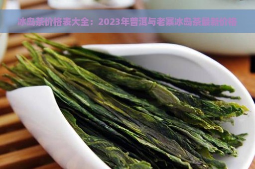 冰岛茶价格表大全：2023年普洱与老寨冰岛茶最新价格