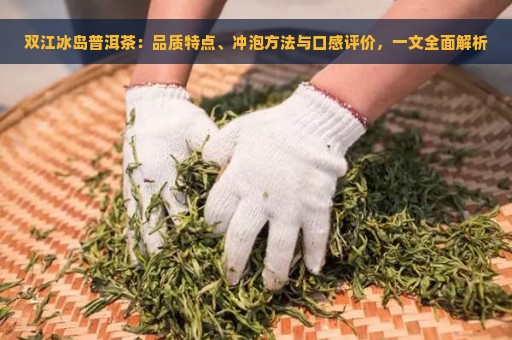 双江冰岛普洱茶：品质特点、冲泡方法与口感评价，一文全面解析