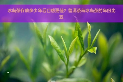 冰岛茶存放多少年后口感更佳？普洱茶与冰岛茶的年份比较