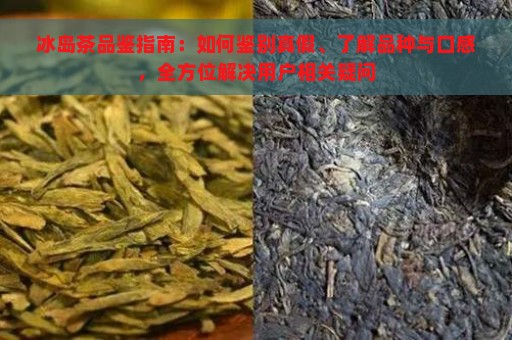 冰岛茶品鉴指南：如何鉴别真假、了解品种与口感，全方位解决用户相关疑问